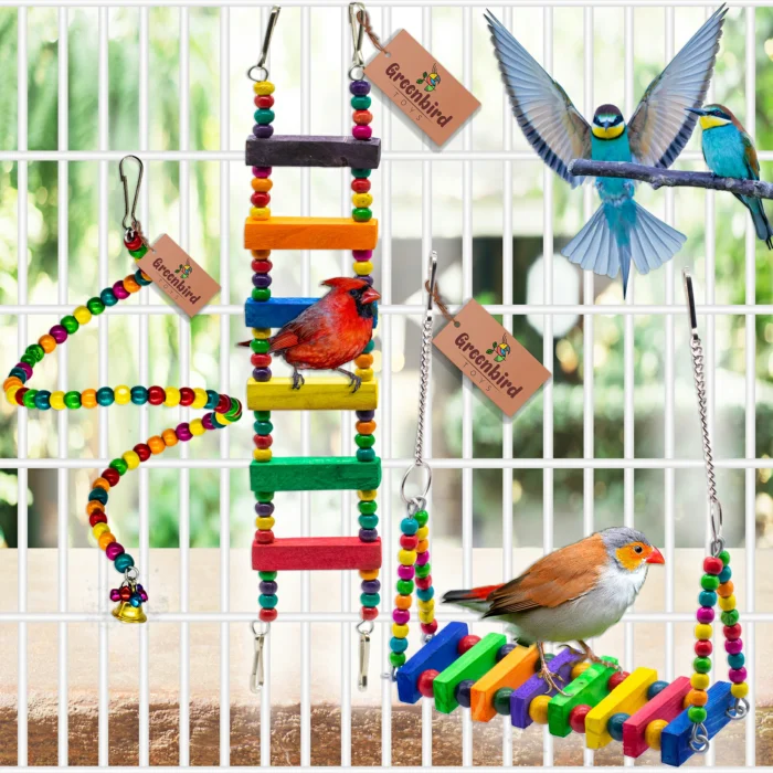 GREENBIRDS Combo of 3 Bird Toys Spiral Hanging, Wooden Swing & Ladder for Bird & Parrot Cages