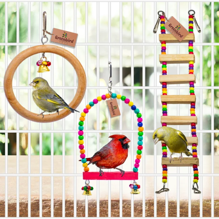 GREENBIRDS Combo of 3 Bird Toys Wooden Ladder, Perch & Ring for Bird & Parrot