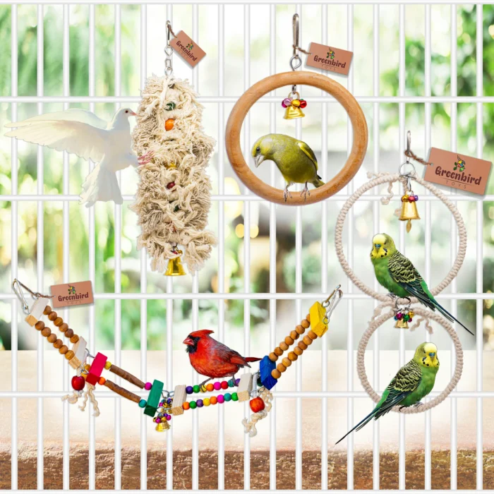 GREENBIRDS Pack of 8 Pcs Bird Colorful Chewing Foraging Shredder Toys, Grass Swings, Ring Perch, Parrot for Bird & Parrot Parakeets, Conures, Cockatiel, Lovebird