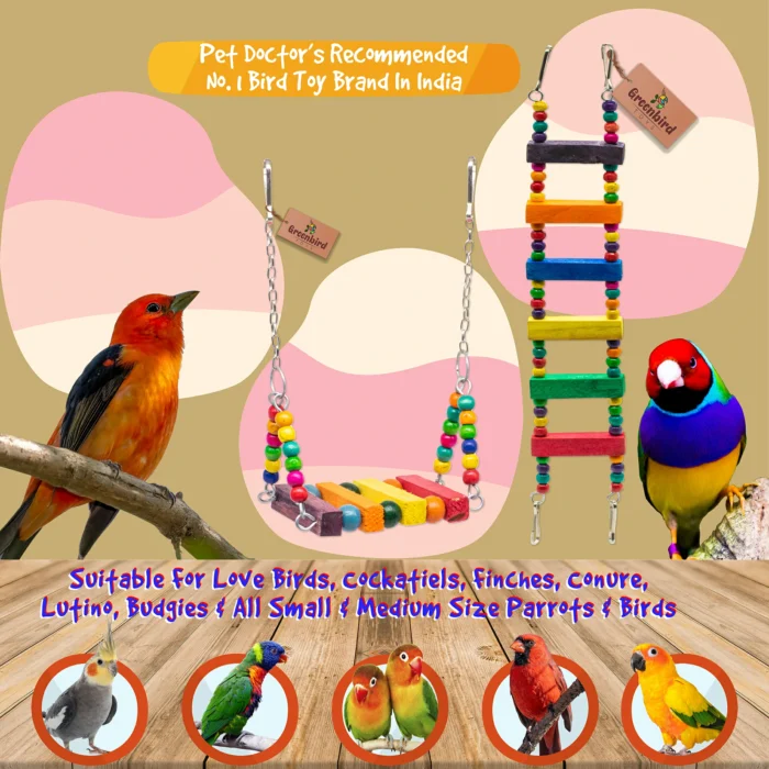 GREENBIRDS Combo of 2 Bird Toys Wooden Swing & Ladder Perch for Bird & Parrot