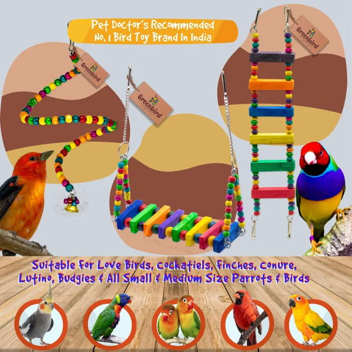 GREENBIRDS Combo of 3 Bird Toys Spiral Hanging, Wooden Swing & Ladder for Bird & Parrot Cages