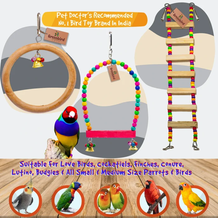 GREENBIRDS Combo of 3 Bird Toys Wooden Ladder, Perch & Ring for Bird & Parrot