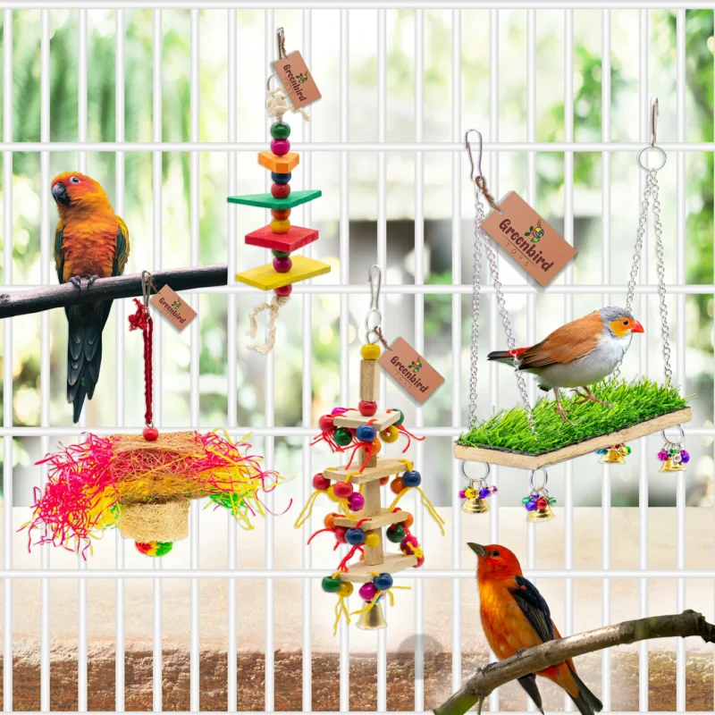 GREENBIRDS Pack of 8 Pcs Bird Colorful Chewing Foraging Shredder Toys, Grass Swings, Ring Perch, Parrot for Bird & Parrot Parakeets, Conures, Cockatiel, Lovebird