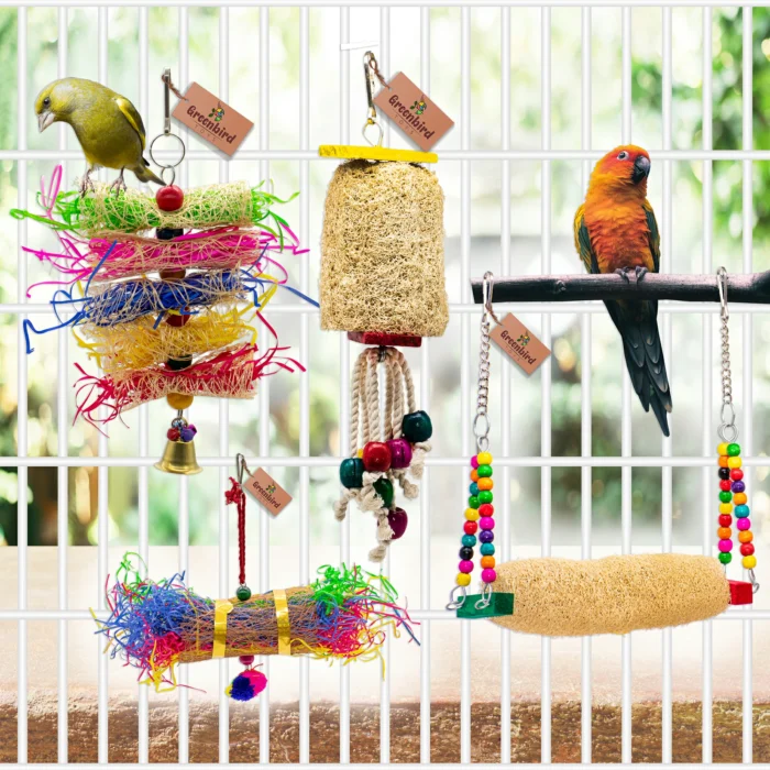 GREENBIRDS TOYS Pack Of 4 Pcs Include Paper Shredded Foraging Chew Toy, Mesh Swing, Cage Hangings Accessories Birds Toys Natural Wood Parrot Toys Cage Accessories Training Aid, Perch For Bird & Parrot