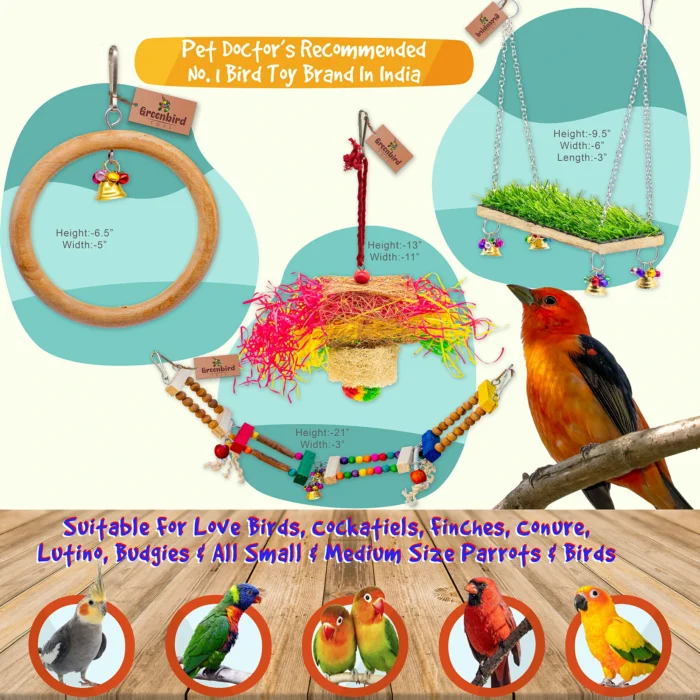 GREENBIRDS Pack of 8 Pcs Bird Colorful Chewing Foraging Shredder Toys, Grass Swings, Ring Perch, Parrot for Bird & Parrot Parakeets, Conures, Cockatiel, Lovebird