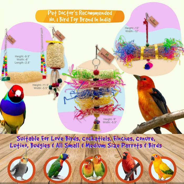 GREENBIRDS TOYS Pack Of 4 Pcs Include Paper Shredded Foraging Chew Toy, Mesh Swing, Cage Hangings Accessories Birds Toys Natural Wood Parrot Toys Cage Accessories Training Aid, Perch For Bird & Parrot