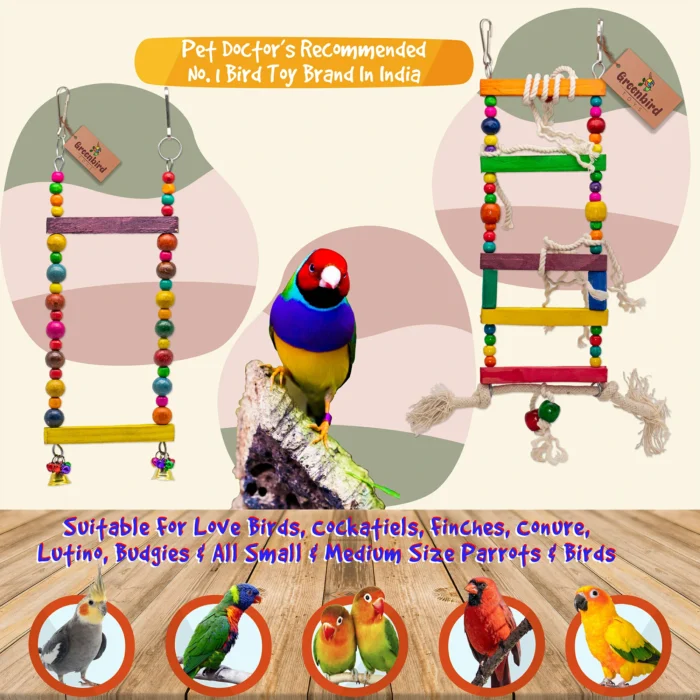 GREENBIRDS Toys Combo of 5 Pcs Includes 2 Interactive & Playful Ladders, 1 Bird Swing, 1 Ferris Wheel & 1 Spiral Hanging Toy Cage Accessories Parrot Cage Accessories Training Aid for Bird & Parrot