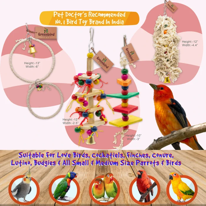 GREENBIRDS Pack of 8 Pcs Bird Colorful Chewing Foraging Shredder Toys, Grass Swings, Ring Perch, Parrot for Bird & Parrot Parakeets, Conures, Cockatiel, Lovebird