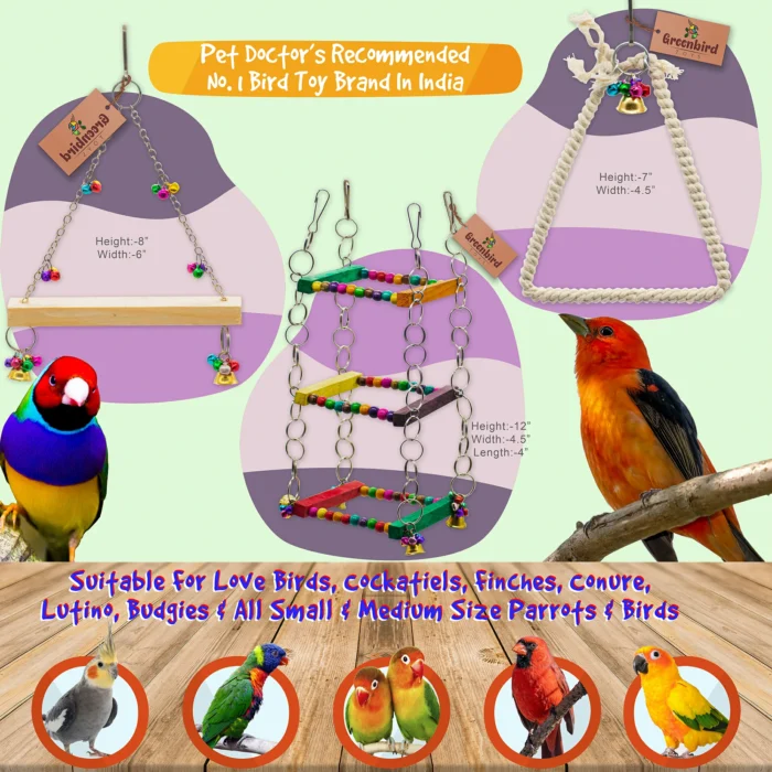 GREENBIRDS TOYS Pack Of 6 Pcs Include Paper Shredded Foraging Chew Toy, Rope Ladder, Cage Hanging Accessories Birds Toys