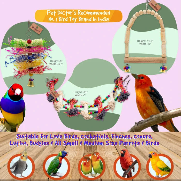 GREENBIRDS TOYS Pack Of 6 Pcs Include Paper Shredded Foraging Chew Toy, Rope Ladder, Cage Hanging Accessories Birds Toys