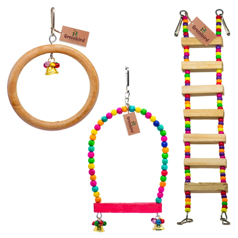 GREENBIRDS Combo of 3 Bird Toys Wooden Ladder, Perch & Ring for Bird & Parrot