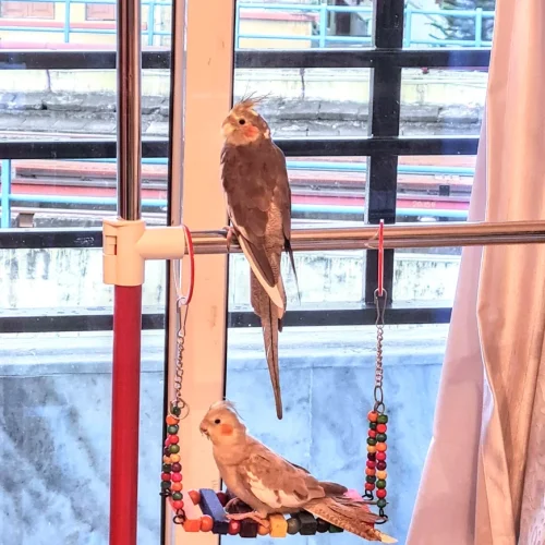 blobio-imr-202009_4c84c0f50bc74c2ca6b7896eac59eacb