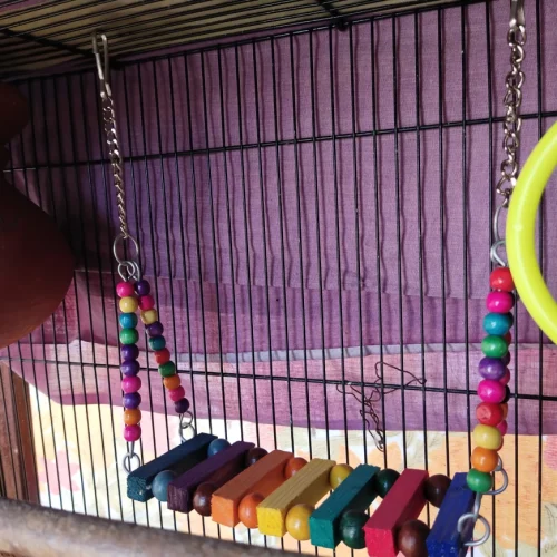 blobio-imr-202012_2ac9a929a7084ed4bede695d61366319