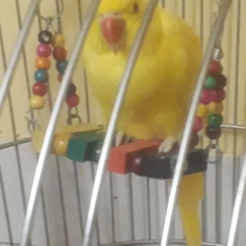 blobio-imr-202109_084bcc45864840f7a5d84f201e4e41a2