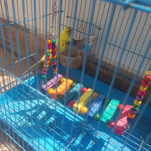 blobio-imr-202203_dd930e827cec4a63a85f6e6abe0b3c72