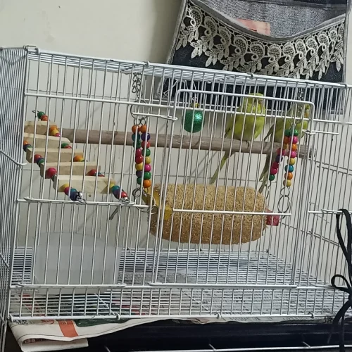 blobio-imr-202205_0c13f89f6a784fa4ae042e4865991711