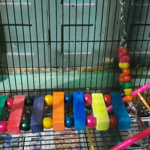 blobio-imr_05a8bf2c79a543f8ba85cbf360e63739