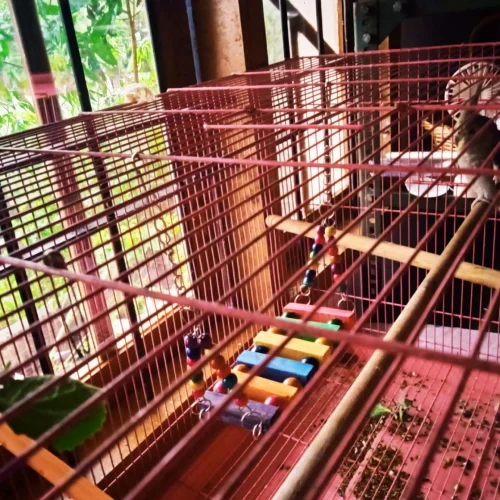 blobio-imr_737aaf58318a4f03a80f6f0fece6db5b